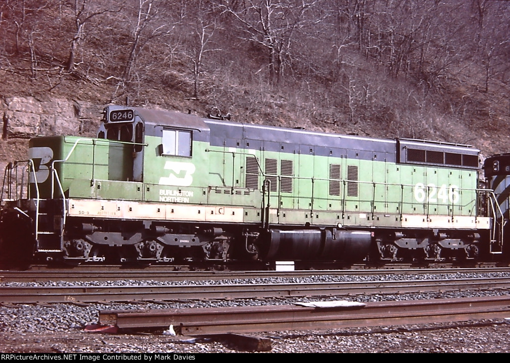 BN 6246